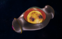 Environment Control and Life Support module image